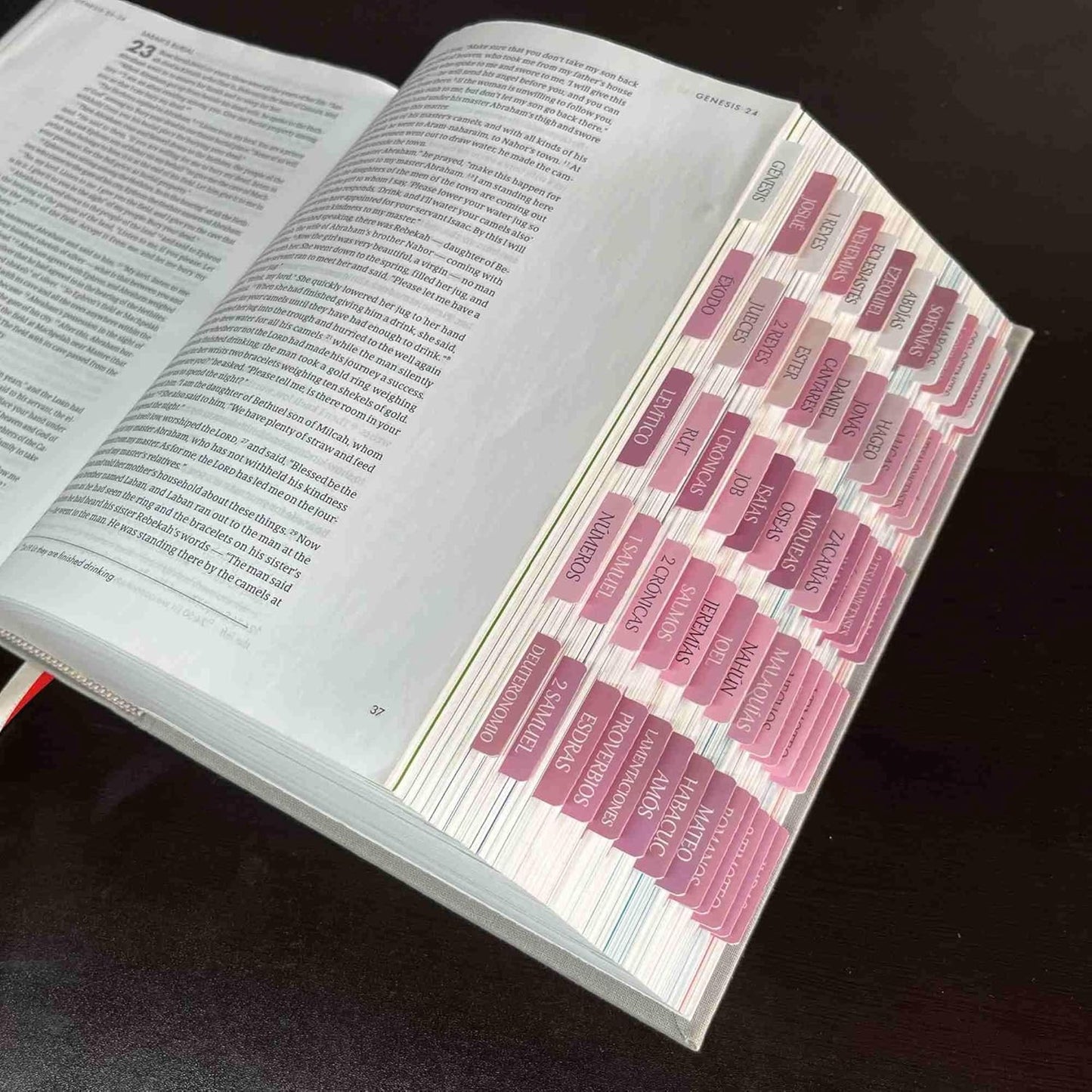Biblia Reina Valera 1960 de apuntes y Laminated Bible Tabs