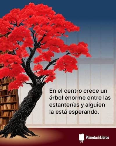 La librería de la memoria